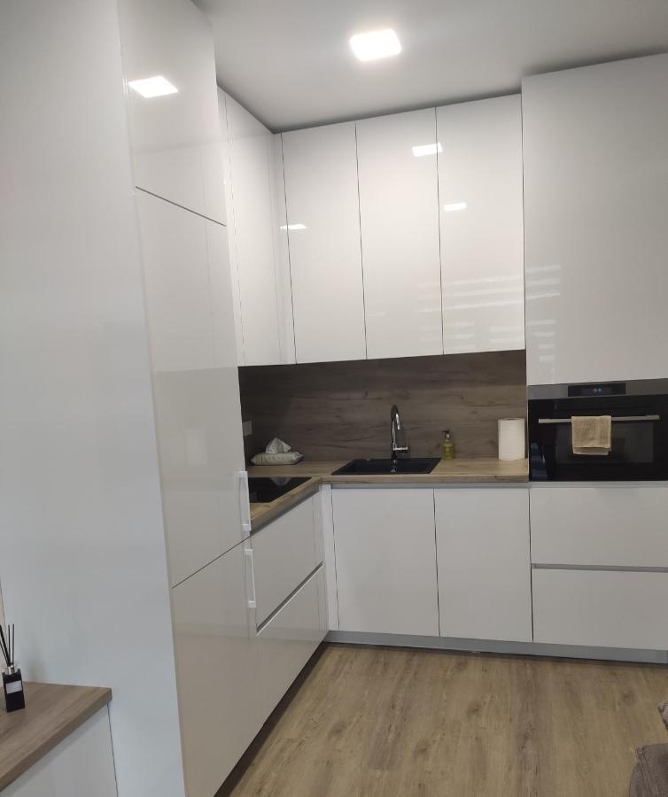 Apartment Ainiai Panevėžys Zewnętrze zdjęcie